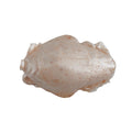 Gulp!® Saltwater Sand Crab Flea