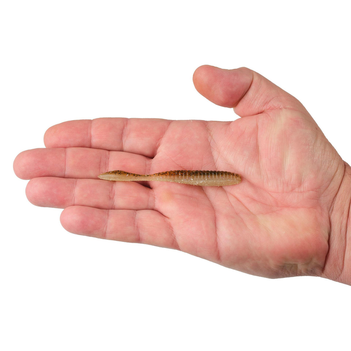 Lab Series™ Flat Worm