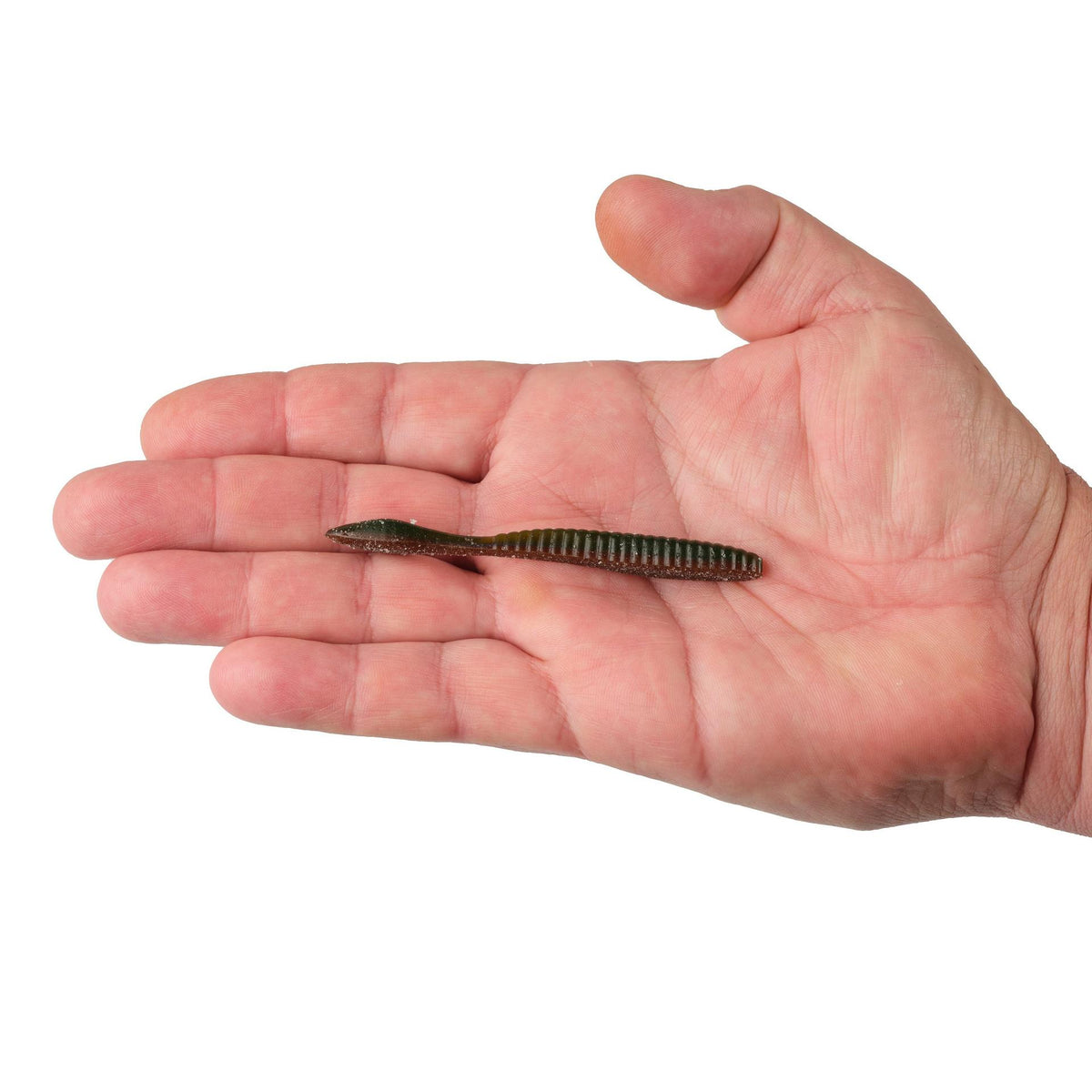 Lab Series™ Flat Worm