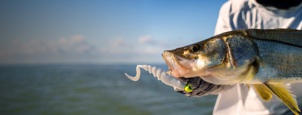 berkley hero saltwater jpg